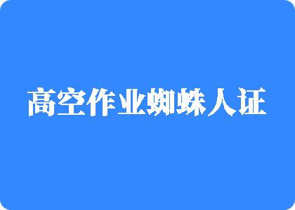 欧美美女交黑鸡巴高空作业蜘蛛人证